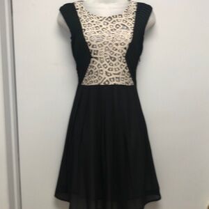 Esley black sheer dress.